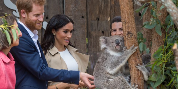 Meghan Markle and Prince Harry Are Headed To Australia