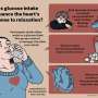 Why sugar may undermine meditation and massage, even when you feel calm