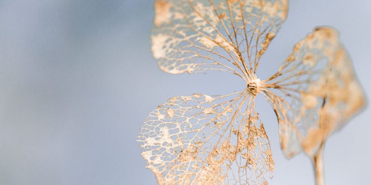 Urinary Incontinence Can Be a Subtle Risk Factor for Frailty in Women