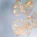 Urinary Incontinence Can Be a Subtle Risk Factor for Frailty in Women
