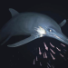 What Hurt This Jurassic Sea Monster?