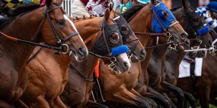 2026 Kentucky Derby start time: When the horses in the field will reach the starting gate for post time