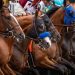 2026 Kentucky Derby start time: When the horses in the field will reach the starting gate for post time