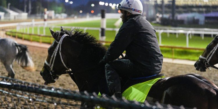 2026 Kentucky Derby predictions, odds, contenders: Picks by expert who has cashed 22 Triple Crown races