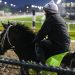 2026 Kentucky Derby predictions, odds, contenders: Picks by expert who has cashed 22 Triple Crown races