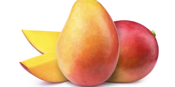 FDA withholds company names in report on mango outbreak