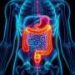 Scientists target key protein duo driving colon, liver cancer