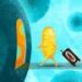 How does mitochondrial DNA influence human health?
