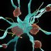 Alzheimer’s Risk May Be Influenced by Flu Shots