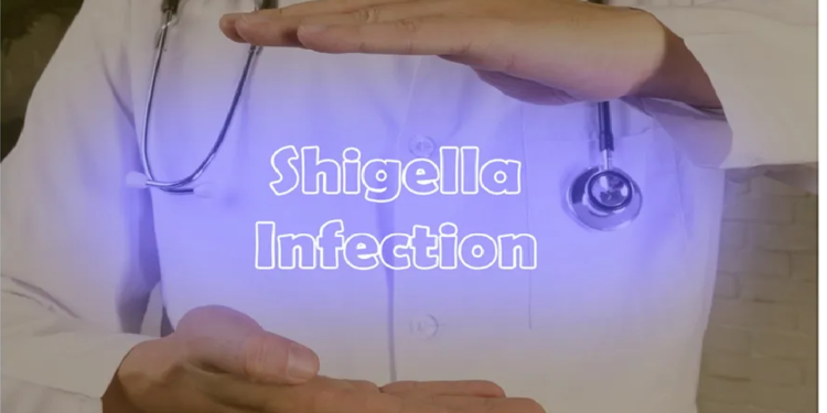 Cape Verde denies outbreak but Shigella detected