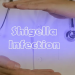 Cape Verde denies outbreak but Shigella detected