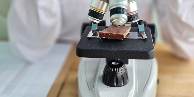 Chocolate without trees? The science racing to reinvent cocoa