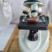Chocolate without trees? The science racing to reinvent cocoa
