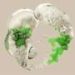 Synthetic biology promised to rewrite life—with the death of its pioneer, J. Craig Venter, how close are scientists?
