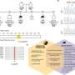 Rare MGRN1 gene variant tied to fetal heart malformations