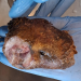 More bushmeat seizures reported in England