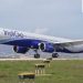IndiGo issues travel advisory for Delhi, Bengaluru passengers amid thunderstorms – ‘Check your flight status…’