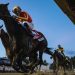 2026 Preakness Stakes predictions, horses, odds, posts, date: Surprising picks by top horse racing expert