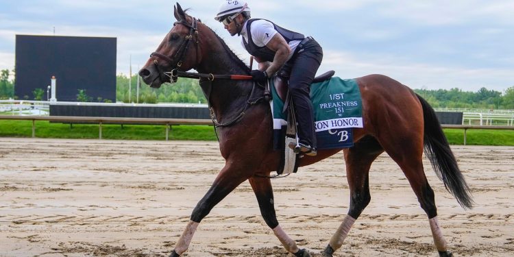 Preakness Stake 2026 odds, post positions: Iron Honor, Incredibolt, Taj Mahal predictions from racing expert