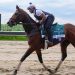 Preakness Stake 2026 odds, post positions: Iron Honor, Incredibolt, Taj Mahal predictions from racing expert