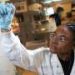 Study identifies pollutant exposure as gap in human biology research