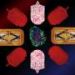 Implantable islet cells could control diabetes without insulin injections