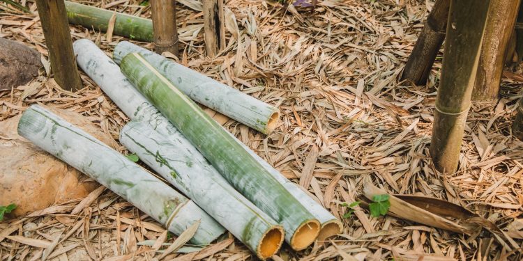 How to remove bamboo from your yard