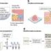 Practical recommendations to strengthen cancer microbiome research