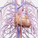 In the Hot Seat at ACC: PE Clot-Buster, Impella-Protected PCI, Utility of CAC=0