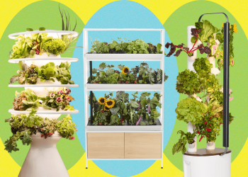 Best Indoor Garden Systems: I’ve Been Testing All Year (2026)