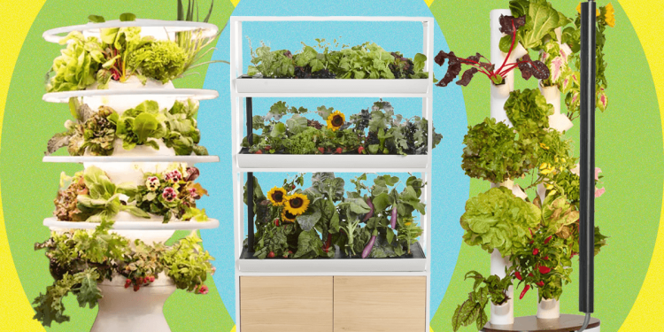 Best Indoor Garden Systems: I’ve Been Testing All Year (2026)