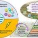 AI guardians: Bridging digital innovation and sustainability for cleaner water