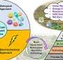 AI guardians: Bridging digital innovation and sustainability for cleaner water