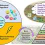 AI guardians: Bridging digital innovation and sustainability for cleaner water