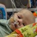 Publisher’s Platform: To Safer Infant Formulas and doing away with Botulism, Cronobacter sakazakii, Salmonella and Bacillus cereus