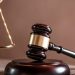 Man out on bail after pleading guilty in illegal meat investigation