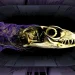Scientists solve 320-million-year mystery of reptile bone armor