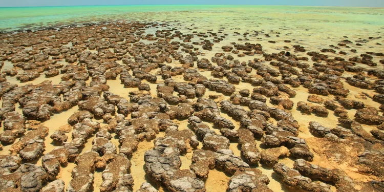 Ancient asteroid craters may have sparked Earth’s oxygen-producing life