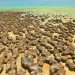 Ancient asteroid craters may have sparked Earth’s oxygen-producing life