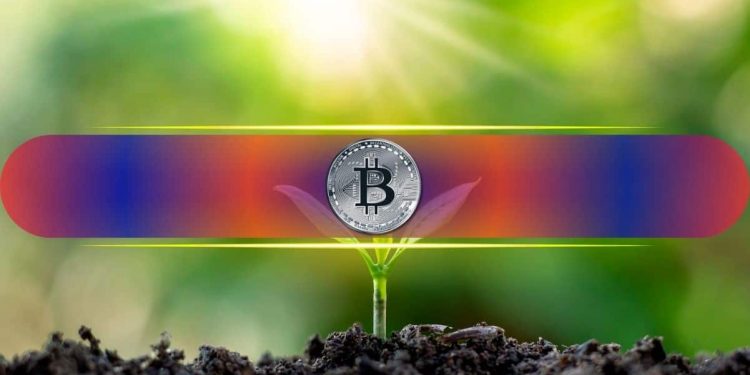 5 Key On-Chain Signals to Watch With Bitcoin at Fair Value