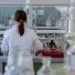 Cancer research at a crossroads: Experts warn against funding cuts and misinformation