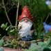 Gnome More Rules: A Day at Chelsea Flower Show With the Unbanned Garden Gnomes