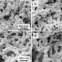 ‘Permanently wet’ coating method could transform wastewater treatment by helping bacteria survive better