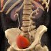 PSMA-PET Cuts Need for Biopsy in Suspected Prostate Cancer