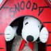 Snoopy Is Invited to OzFest