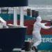 How South African scientists identified hantavirus on a cruise ship thousands of miles away