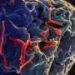 Deadly DR Congo Ebola outbreak spreads to M23-held South Kivu