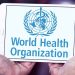 Not enough progress on foodborne disease, says WHO