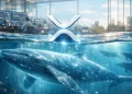 XRP Holdings Rise as Whales Expand Positions Between $1.2–$3