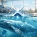 XRP Holdings Rise as Whales Expand Positions Between $1.2–$3